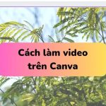 cach-lam-video-trac-nghiem-canva