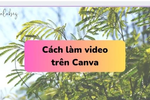 Cách dùng Canva để làm video trắc nghiệm cực đơn giản
