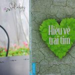 hieu-ve-trai-tim